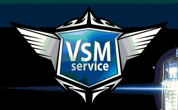 VSM Service Москва