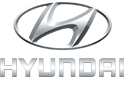 Hyundai Truck Bus поселок Солонцы